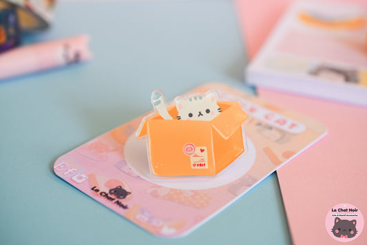 Acrylic Pin Cute Cat Box